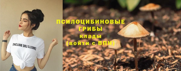 PSILOCYBIN Беломорск