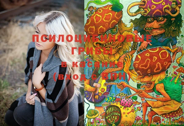 каннабис Белокуриха